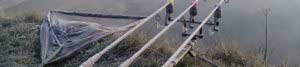 Fox Rod Pod