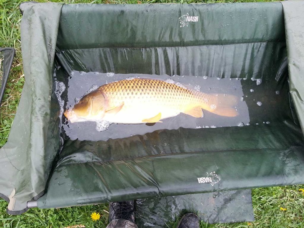 Nash Monster Carp Cradle